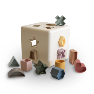 Shape Sorting Box - Formelių rūšiavimo dėžutė